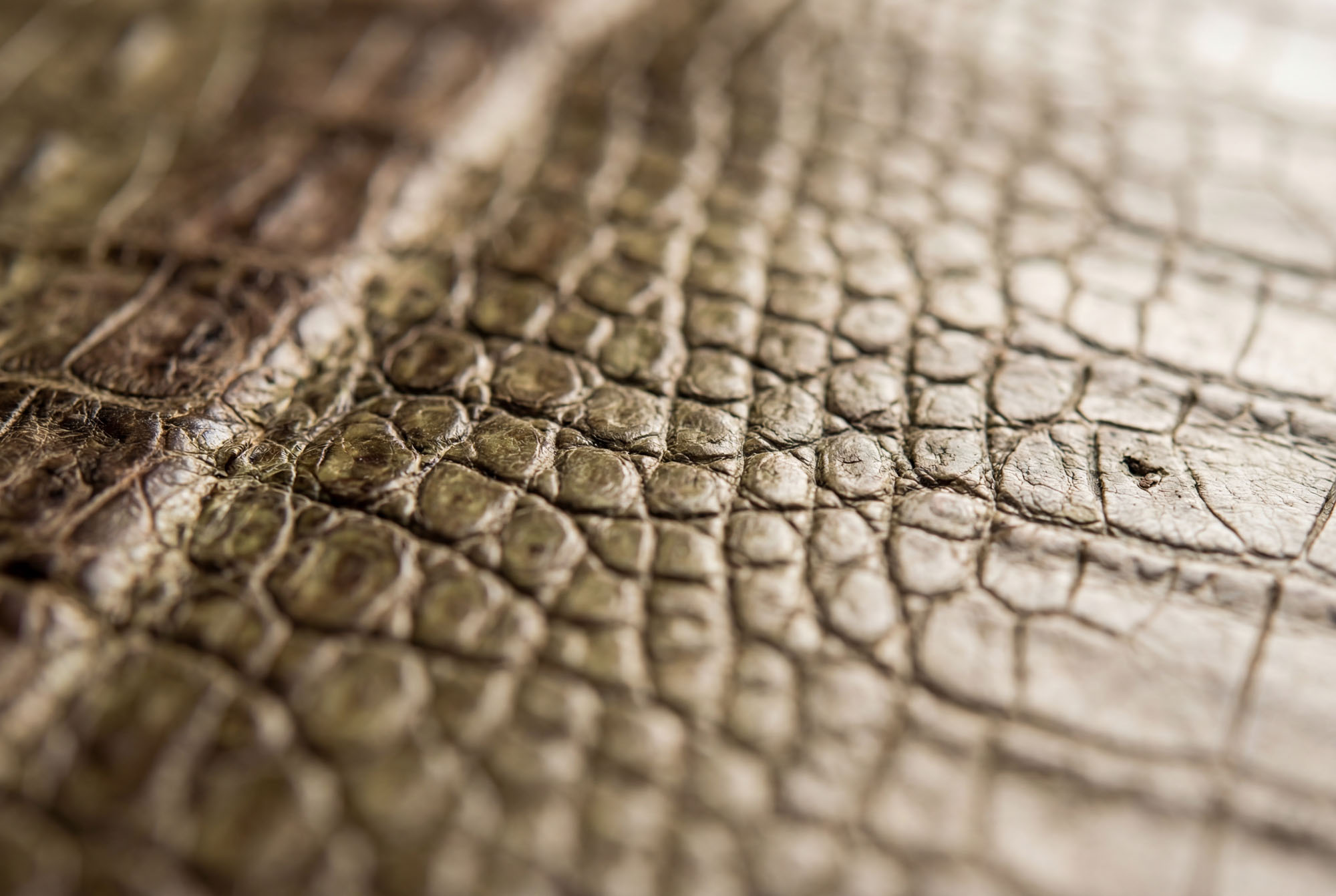 Sartipi Uhrenarmband