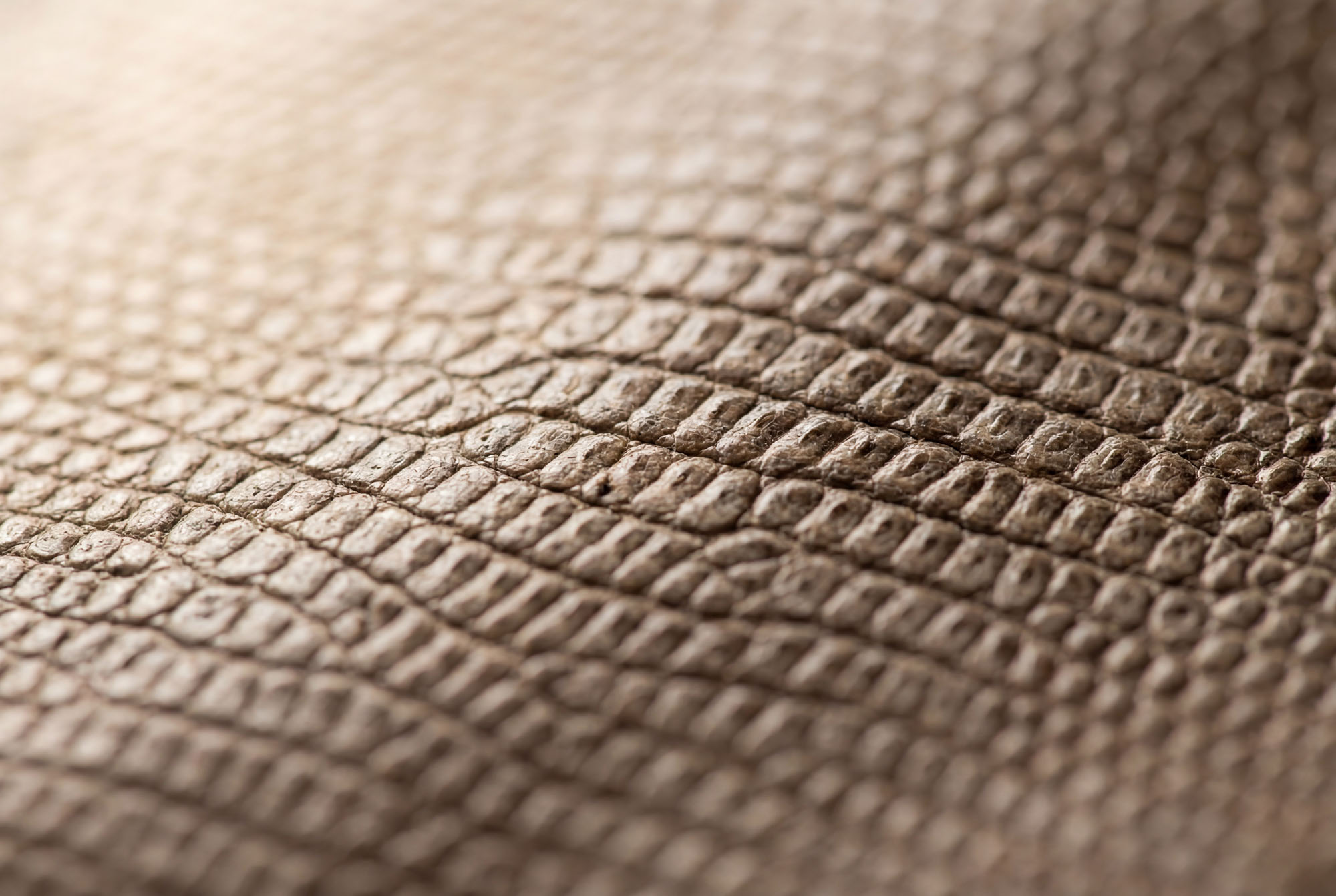 Exklusives Uhrenarmband 1