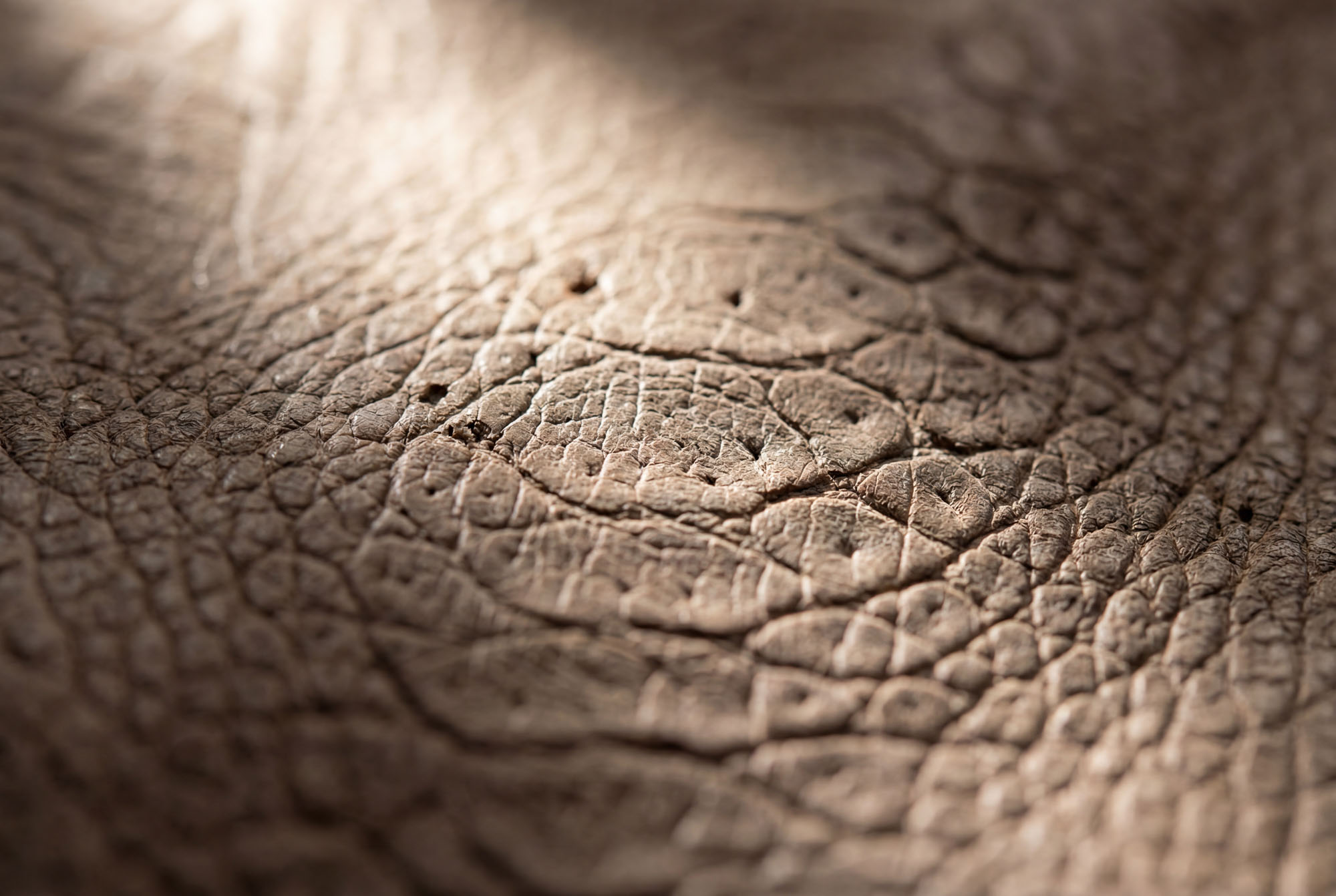 Exklusives Uhrenarmband 3